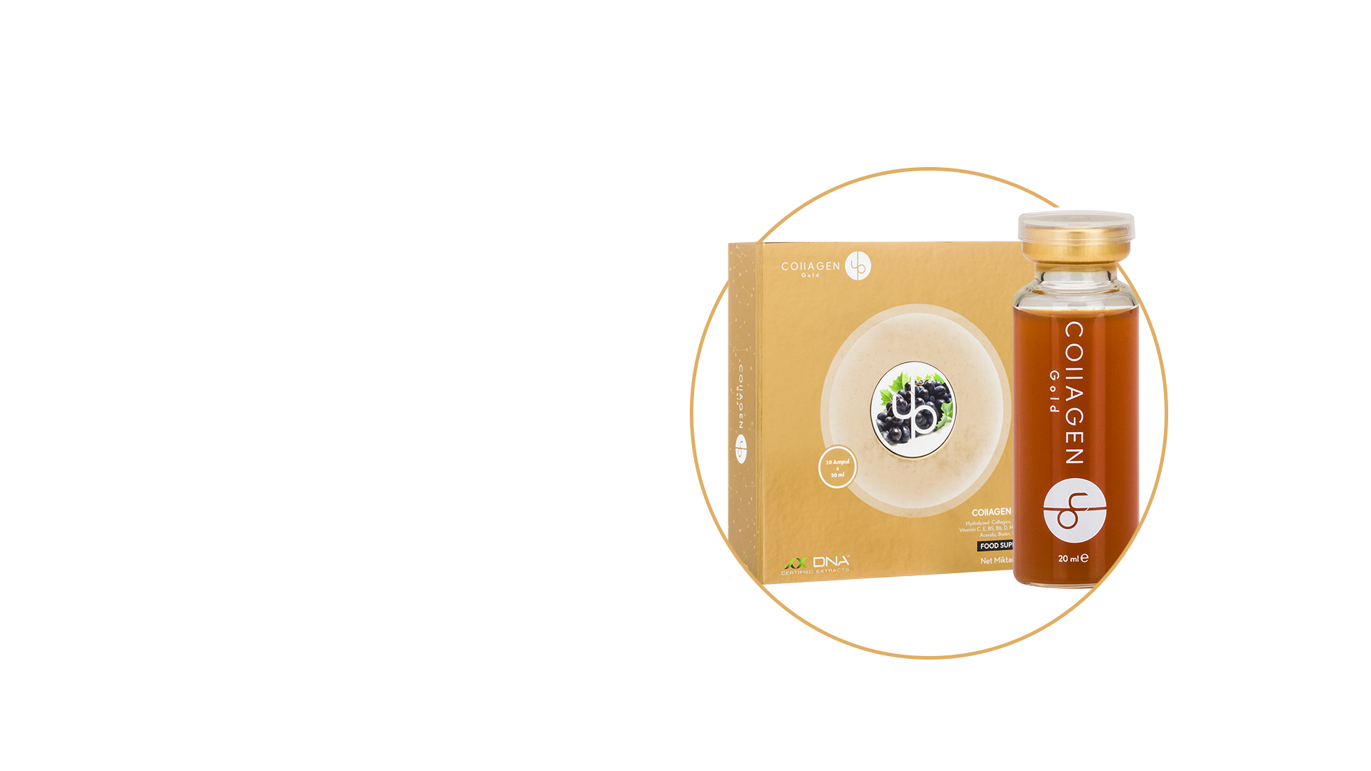 Collagen Up Gold likit kollajen