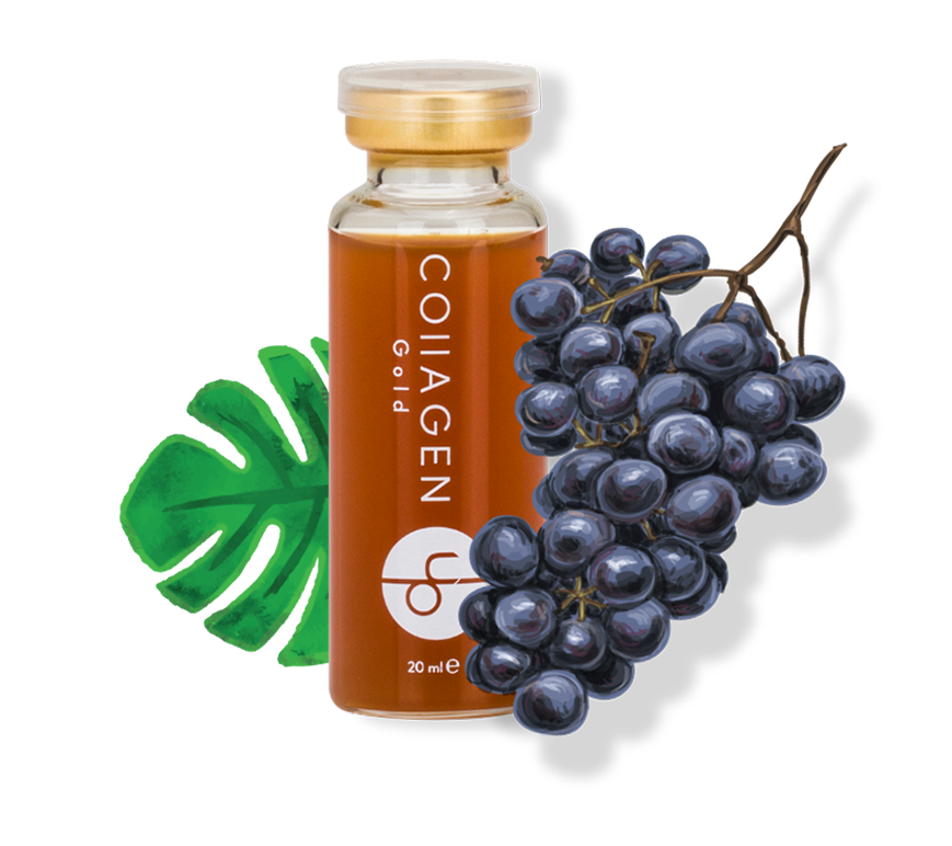 Collagen Up Gold likit kollajen