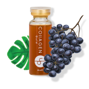 Collagen Up Gold likit kollajen